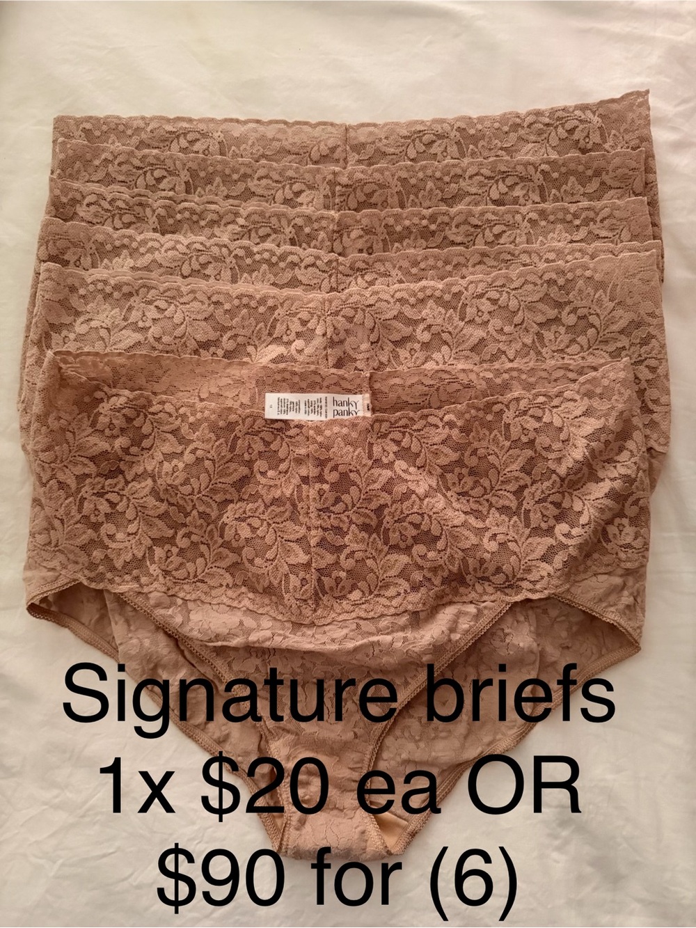Hanky Panky Signature Lace Briefs in Nude